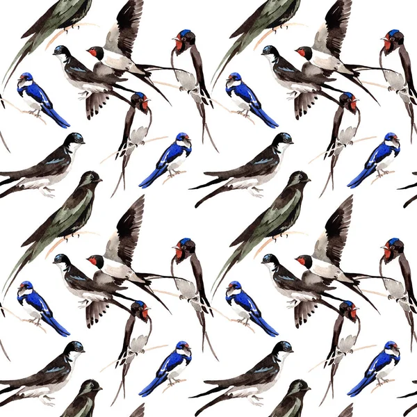 Sky bird Swallows pattern in a wildlife by watercolor style. — Stock Photo, Image