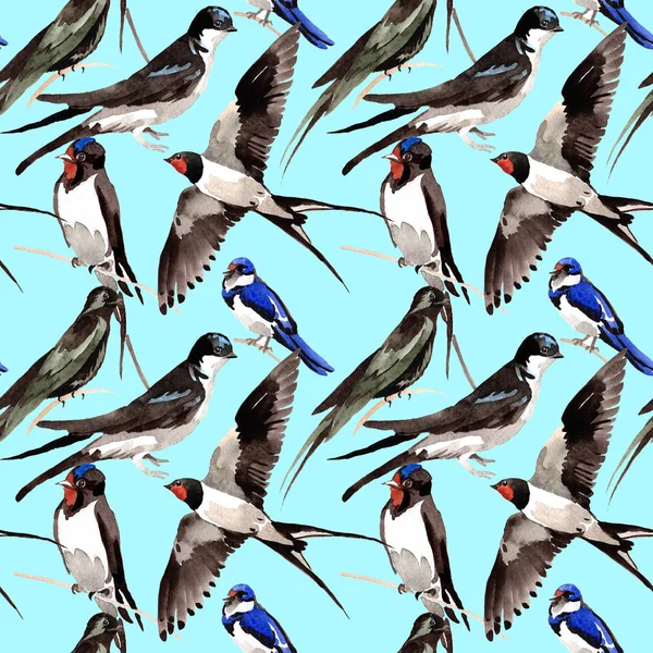 Sky bird Swallows pattern in a wildlife by watercolor style. — Stock Photo, Image