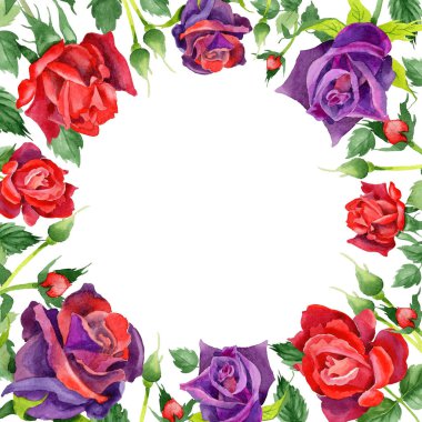 Kır çiçeği gül çiçek çerçeve suluboya tarzında.