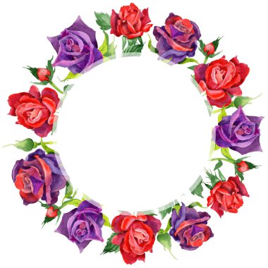 Kır çiçeği gül çiçek çerçeve suluboya tarzında.