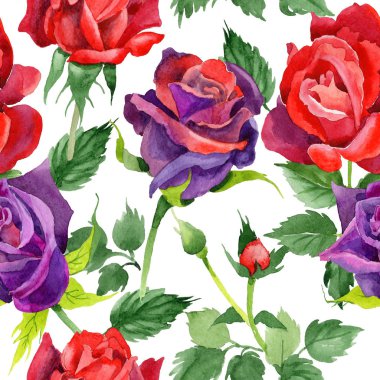 Kır çiçeği gül çiçek deseni suluboya tarzında.