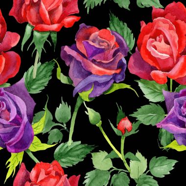 Kır çiçeği gül çiçek deseni suluboya tarzında.