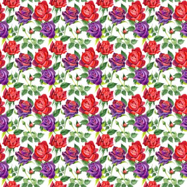 Kır çiçeği gül çiçek deseni suluboya tarzında.