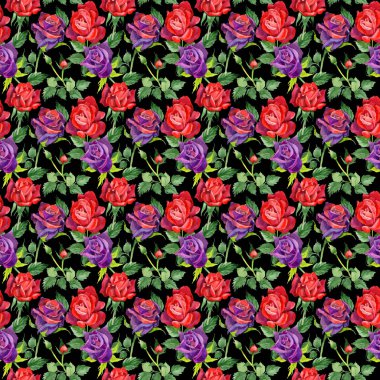 Kır çiçeği gül çiçek deseni suluboya tarzında.