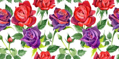 Kır çiçeği gül çiçek deseni suluboya tarzında.