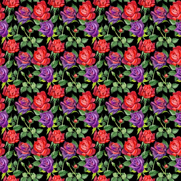 Kır çiçeği gül çiçek deseni suluboya tarzında.