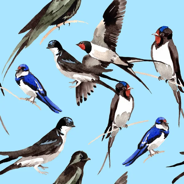 天空的鸟燕子图案在野生动物的水彩风格. — 图库照片