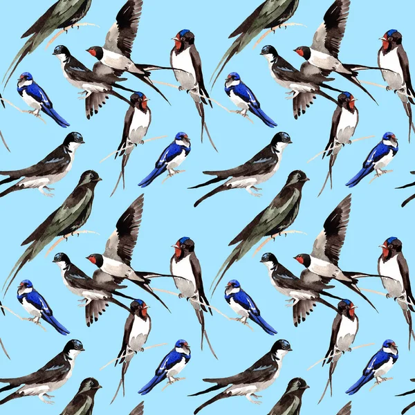Céu pássaro andorinhas padrão em uma vida selvagem pelo estilo aquarela . — Fotografia de Stock