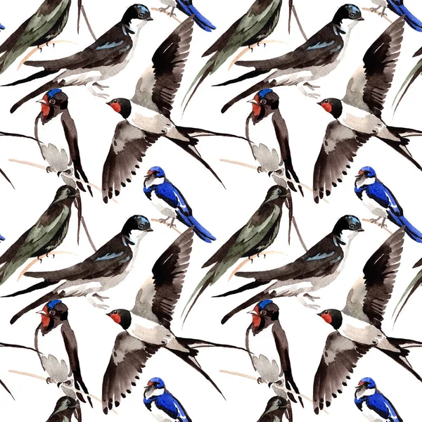 Sky bird Swallows pattern in a wildlife by watercolor style. — Stock Photo, Image