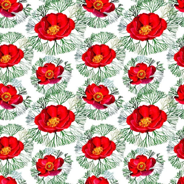 Wildflower peonies flower pattern in a watercolor style. — Stock Photo, Image