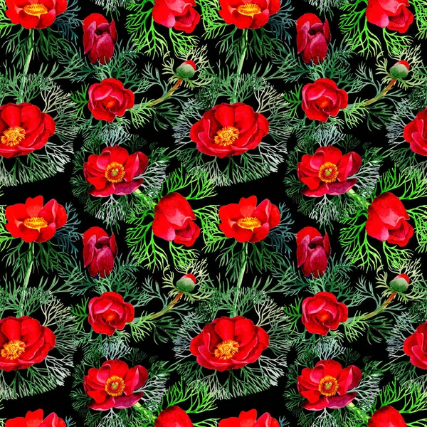 Wildflower piwonie kwiatki w stylu przypominającym akwarele. — Zdjęcie stockowe
