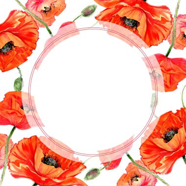 Kır çiçeği haşhaş çiçek çerçeve suluboya tarzında.