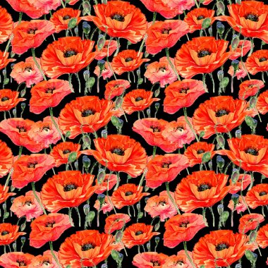 Kır çiçeği haşhaş çiçek deseni suluboya tarzında.