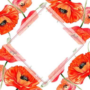 Kır çiçeği haşhaş çiçek çerçeve suluboya tarzında.