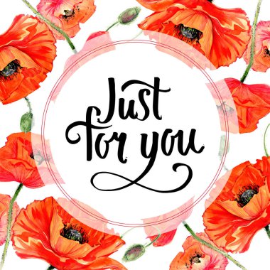 Kır çiçeği haşhaş çiçek çerçeve suluboya tarzında.