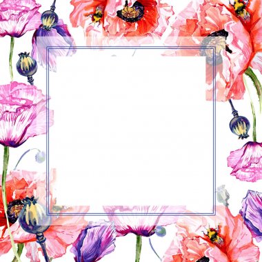 Kır çiçeği haşhaş çiçek çerçeve suluboya tarzında.