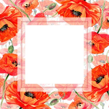 Kır çiçeği haşhaş çiçek çerçeve suluboya tarzında.