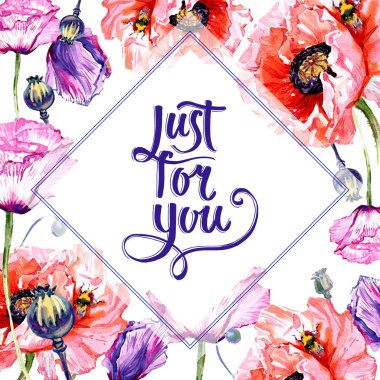 Kır çiçeği haşhaş çiçek çerçeve suluboya tarzında.