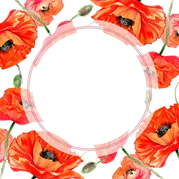 Kır çiçeği haşhaş çiçek çerçeve suluboya tarzında.