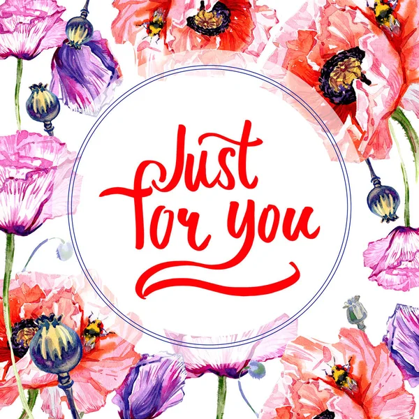 Kır çiçeği haşhaş çiçek çerçeve suluboya tarzında.