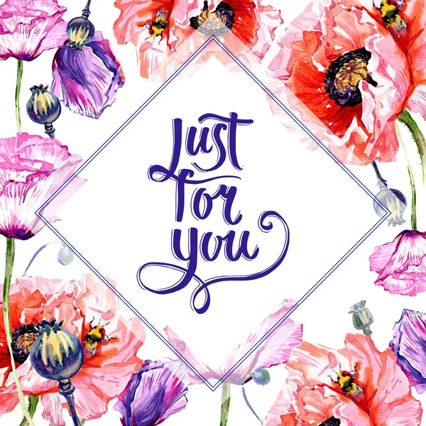 Kır çiçeği haşhaş çiçek çerçeve suluboya tarzında.