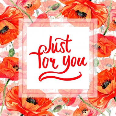 Kır çiçeği haşhaş çiçek çerçeve suluboya tarzında.