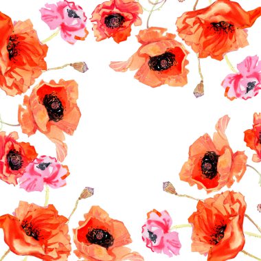 Kır çiçeği haşhaş çiçek çerçeve suluboya tarzında.