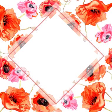 Kır çiçeği haşhaş çiçek çerçeve suluboya tarzında.