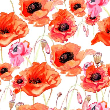 Kır çiçeği haşhaş çiçek deseni suluboya tarzında.