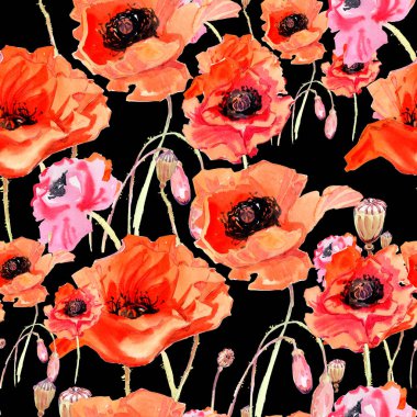 Kır çiçeği haşhaş çiçek deseni suluboya tarzında.