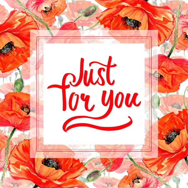 Kır çiçeği haşhaş çiçek çerçeve suluboya tarzında.