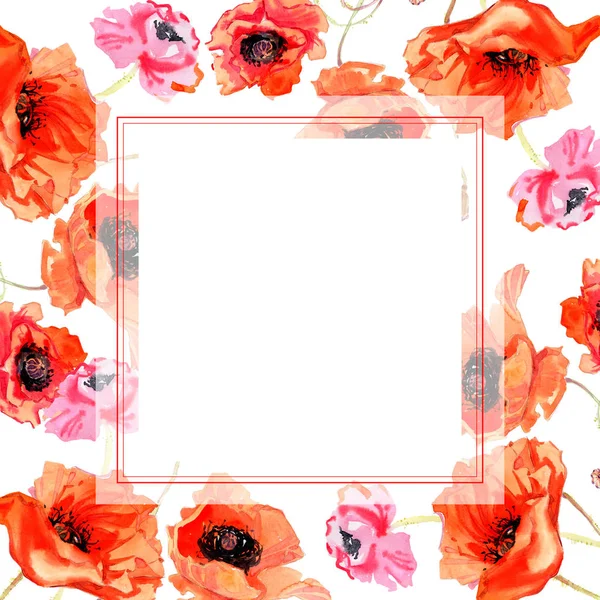 Wildflower poppy flower frame in a watercolor style. — Stock Photo, Image