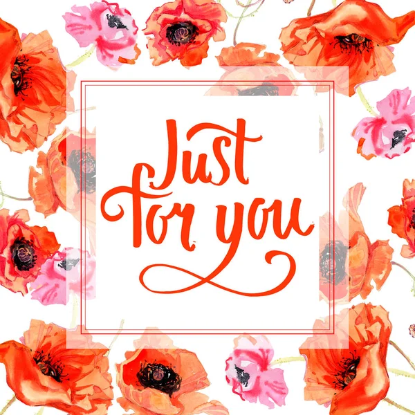 Kır çiçeği haşhaş çiçek çerçeve suluboya tarzında.