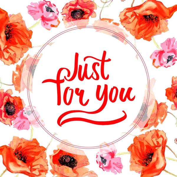 Kır çiçeği haşhaş çiçek çerçeve suluboya tarzında.