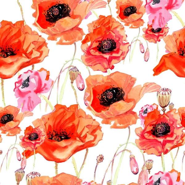 Kır çiçeği haşhaş çiçek deseni suluboya tarzında.