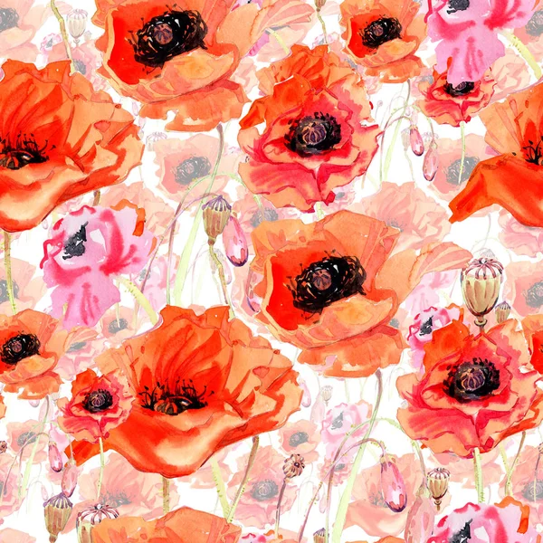 水彩画のワイルドフラワー ケシの花のパターン. — ストック写真