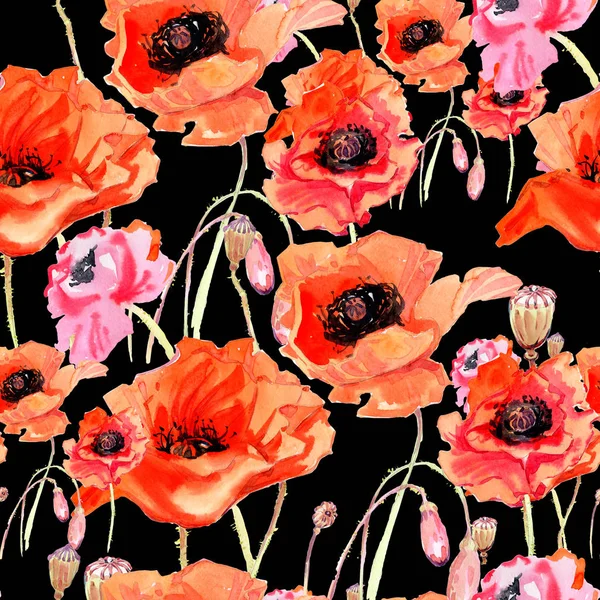 Kır çiçeği haşhaş çiçek deseni suluboya tarzında.