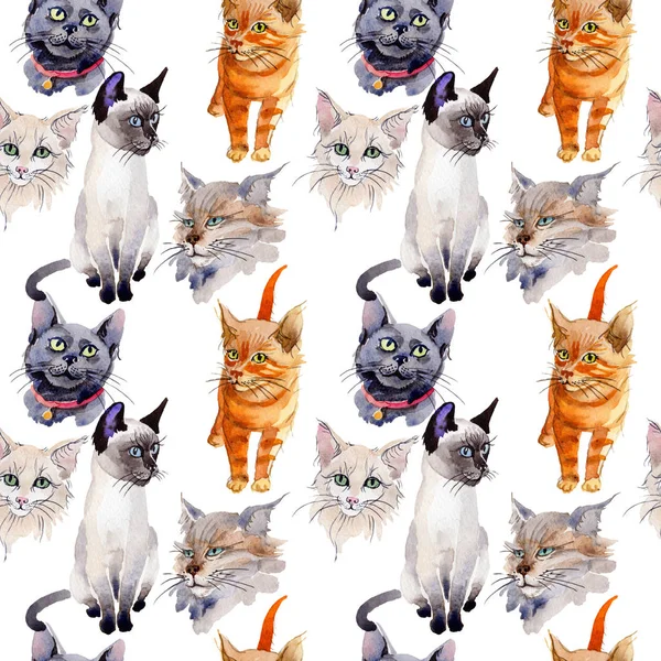 Egzotik kedi vahşi hayvan desen suluboya tarzında.