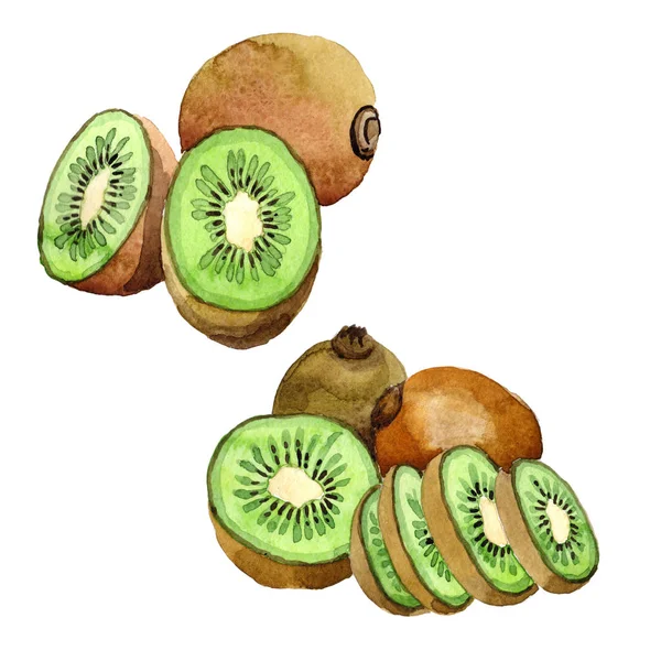 Kiwi esotico frukt selvatico in uno stile ad acquerello isolato . — Foto Stock