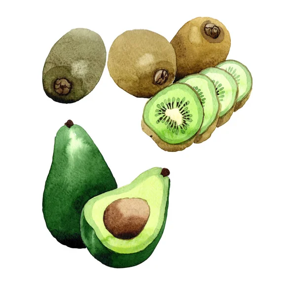 Kiwi esotico e avocado modello frukt selvaggio in stile acquerello . — Foto Stock