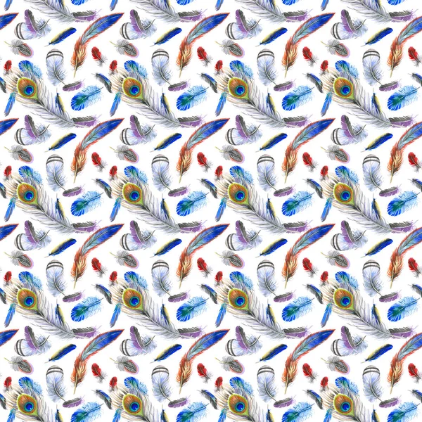 Watercolor bird feather pattern from wing. — Stock Photo, Image