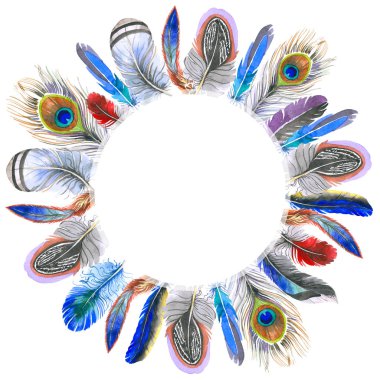 Suluboya kuş kanat tüy çerçevesinden.