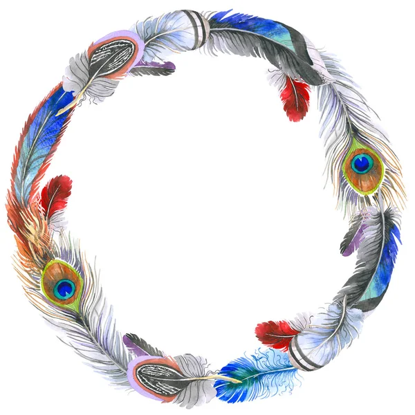 Watercolor bird feather wreath from wing. — Stock Photo, Image