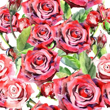 Kır çiçeği gül çiçek deseni suluboya tarzında.