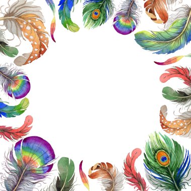 Suluboya kuş kanat tüy çerçevesinden.