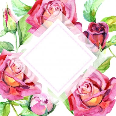 Kır çiçeği gül çiçek çerçeve suluboya tarzında.