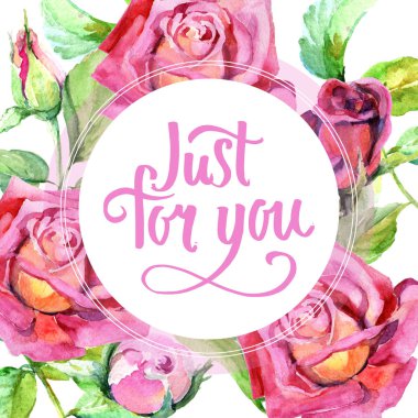 Kır çiçeği gül çiçek çerçeve suluboya tarzında.