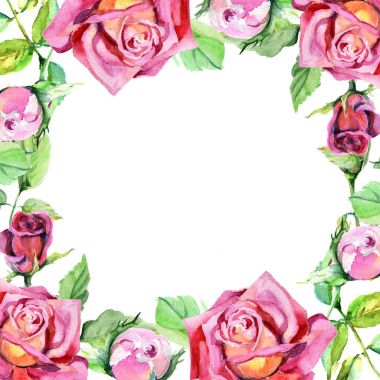 Kır çiçeği gül çiçek çerçeve suluboya tarzında.