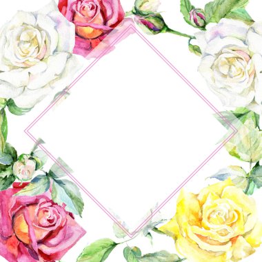 Kır çiçeği gül çiçek çerçeve suluboya tarzında.