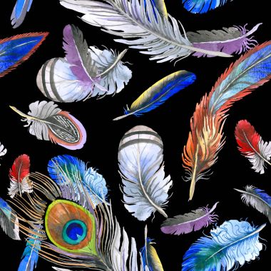 Suluboya kuş tüyü desen Wing.